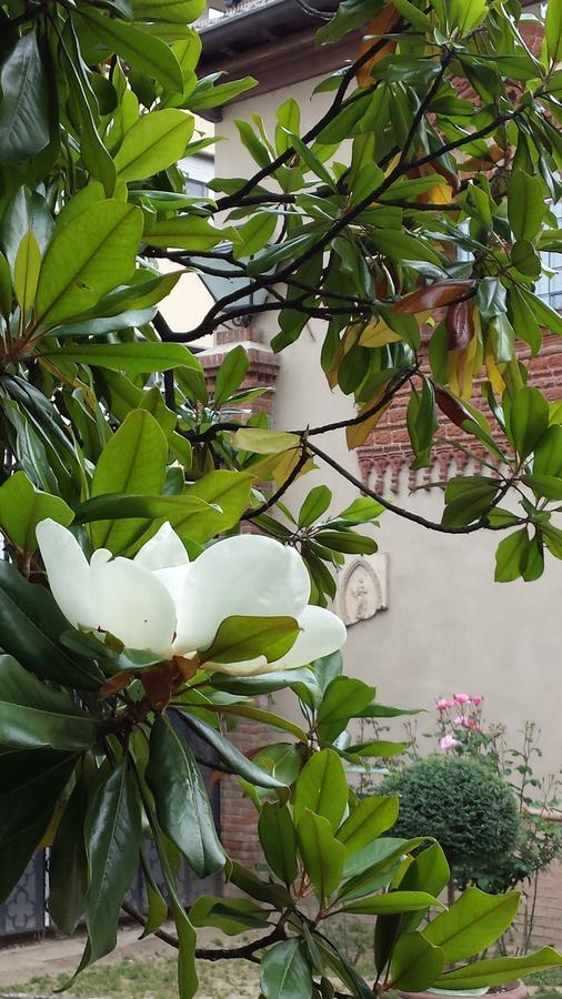 B&B San Martino Mede 外观 照片